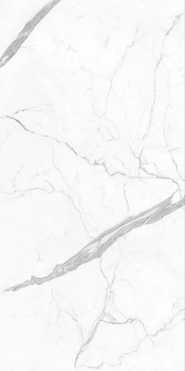 Losa de porcelana blanca
