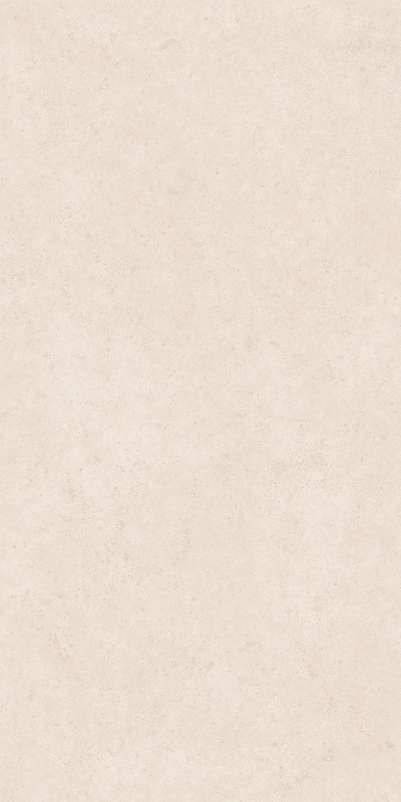 Nabel Limestone D'oro Beige Sea Shell Textured Slab(001)