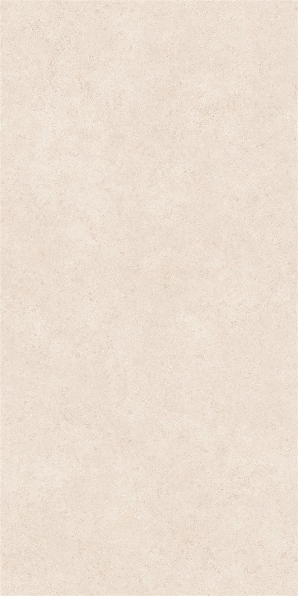 Piedra caliza D'oro: losa con textura de concha de mar beige
