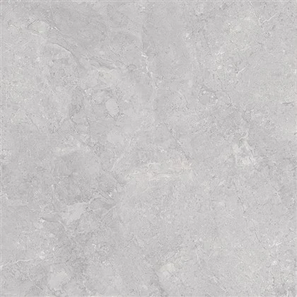 Azulejo pulido de mármol gris clásico- Earl Grey